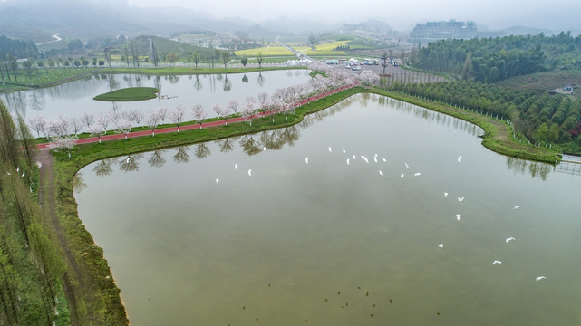 春天风景