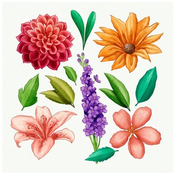 原创矢量手绘植物花朵元素