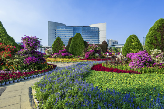 城市广场花圃