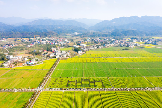 航拍安仁稻田公园