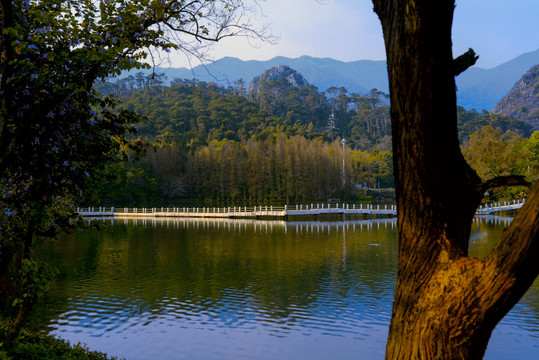 星湖风景区