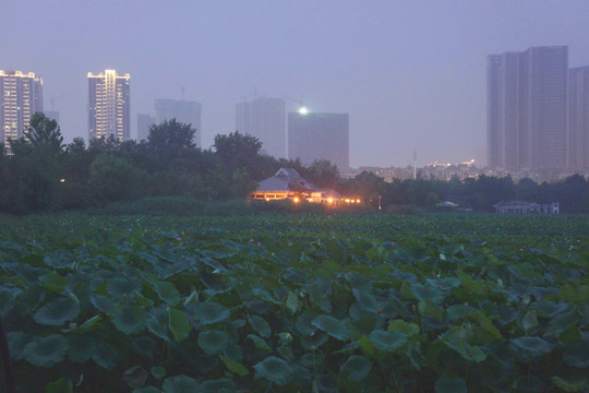 武汉琴台月湖公园