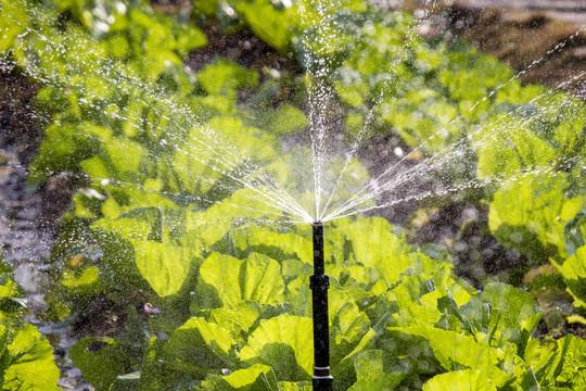 自动浇灌水源