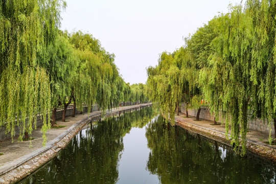 曲阜护城河