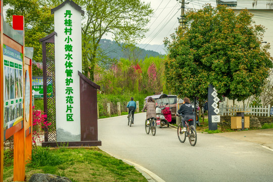 小微水体管护示范片区