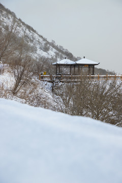 雪景