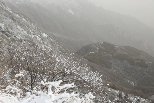 雪景