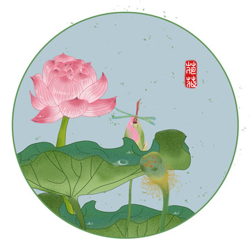 手繪荷花