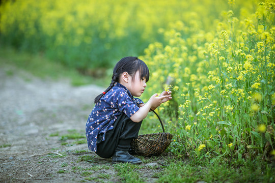 蹲在油菜花田旁边的小女孩