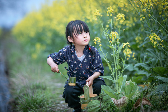 在油菜花地里浇水的小女孩