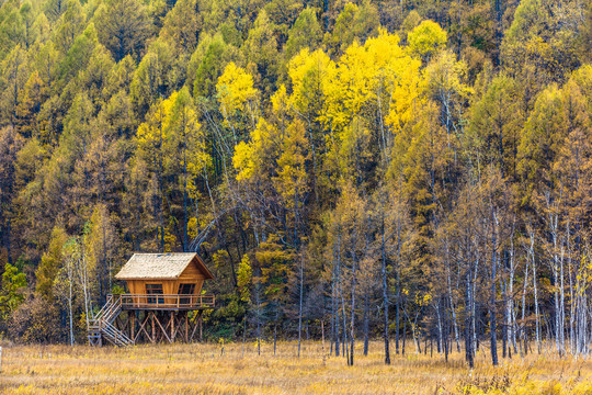 秋季森林小木屋
