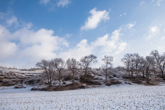 春雪