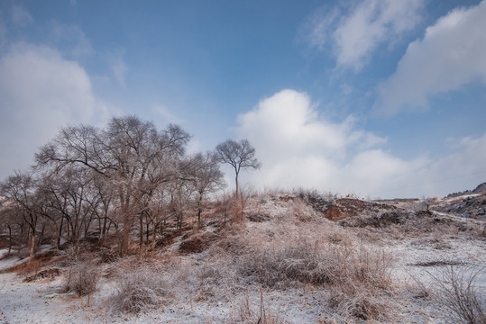 春雪