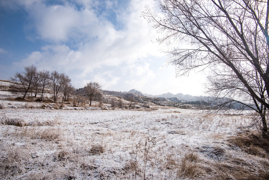 春雪