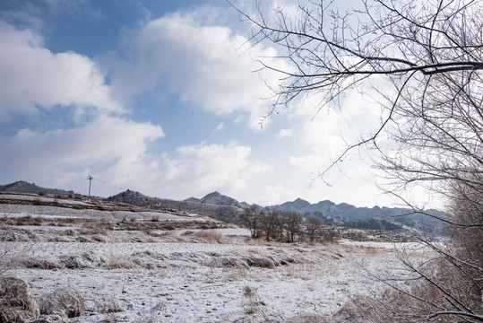 春雪