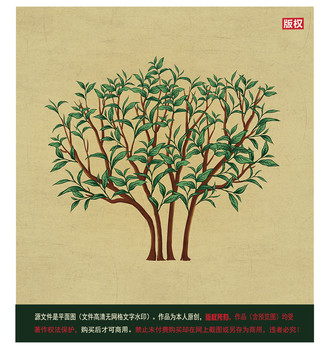 茶樹