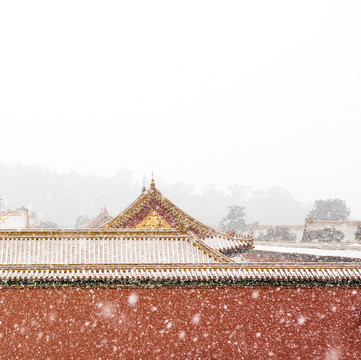 故宫飘雪