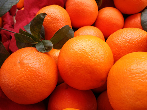 拍摄鲜果橙