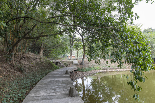 湖边休闲步道