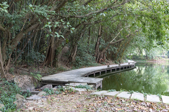 湖边休闲步道