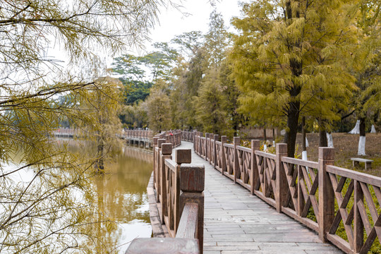 秋天的公园风景