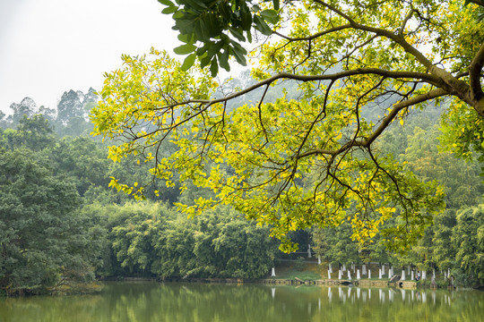 山水风光