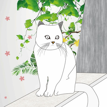 貓咪