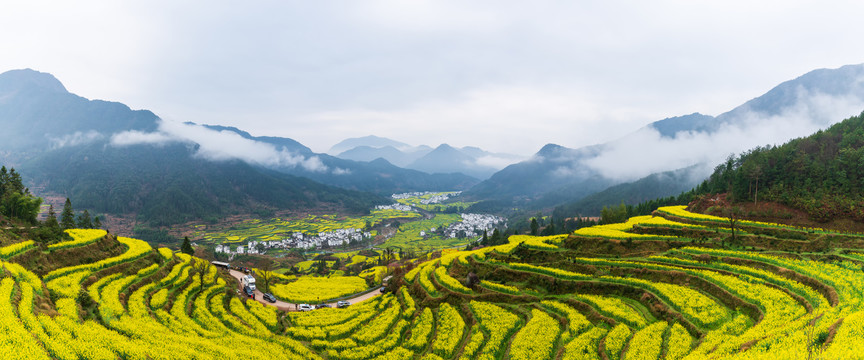 江西婺源江岭油菜花风景