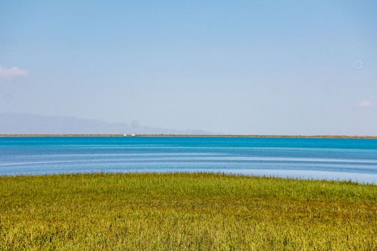 青海湖