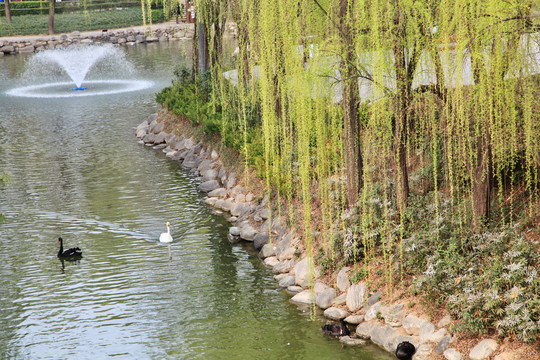 春日小河边