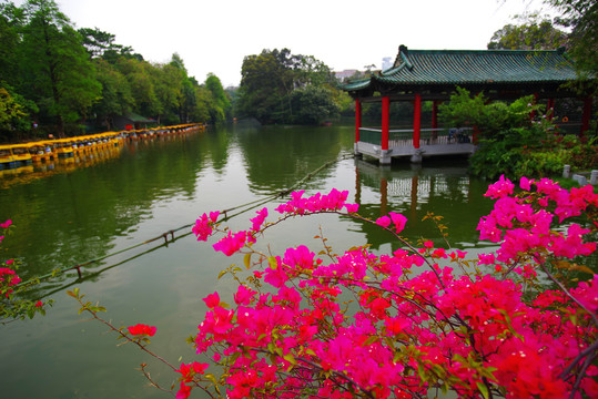 羊城八景之越秀公园