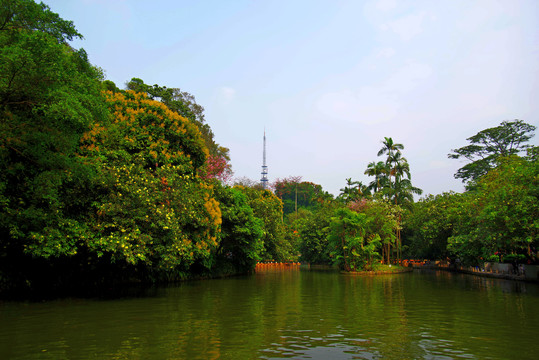 羊城八景之越秀公园