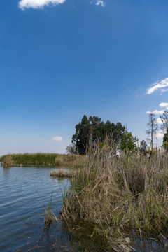 色彩斑斓湿地