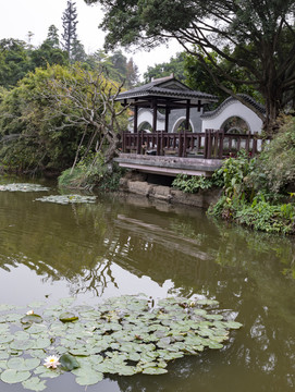 荷塘小屋