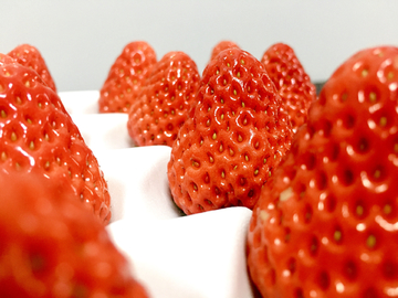 草莓 草莓特写 草莓创意图