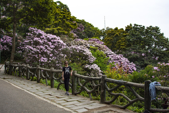 万花屏留影