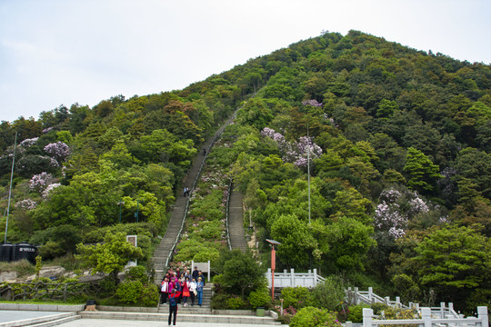 好汉坡采风