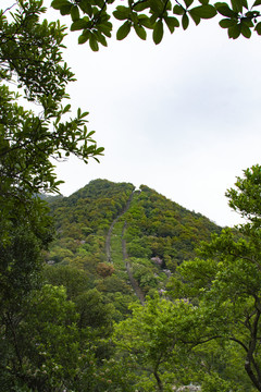 梧桐山好汉坡