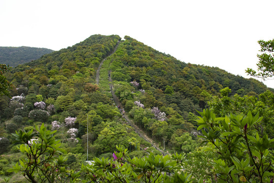 远望好汉坡