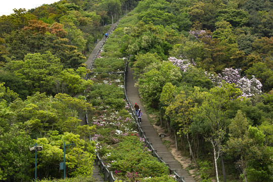 登山的人们