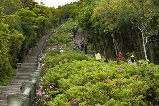 假日登山