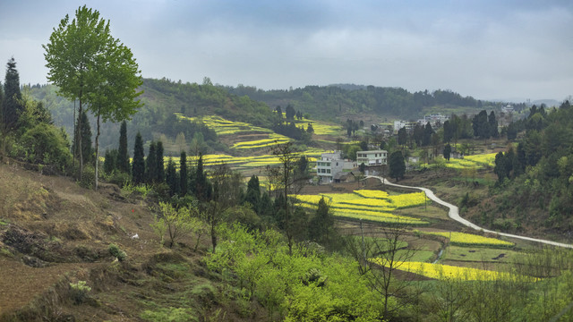 春天美丽的乡村田园