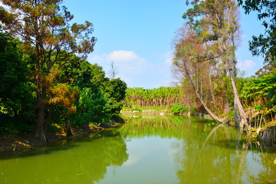 水乡风景