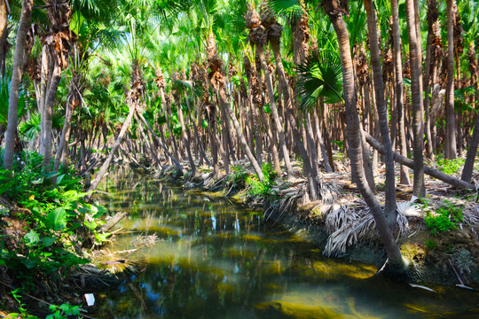 葵林生态湿地公园