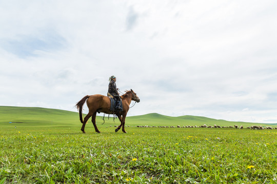 草原女人骑马放牧