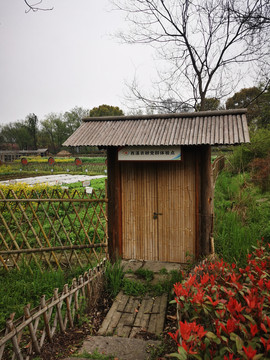 湿地公园种植区