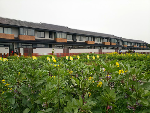 乡村农家居住点