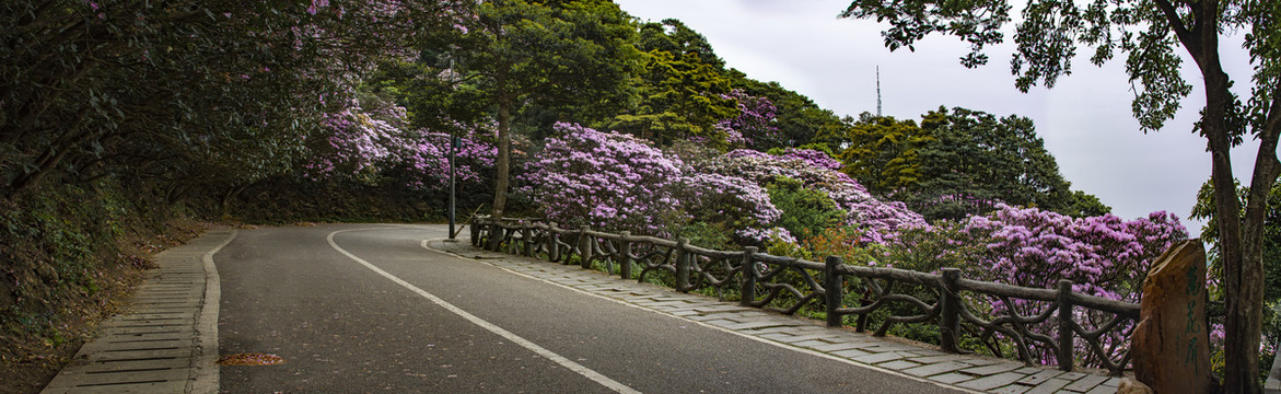 梧桐山万花屏