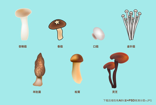 菌菇山貨