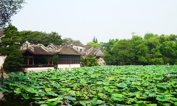 江南园林庭院